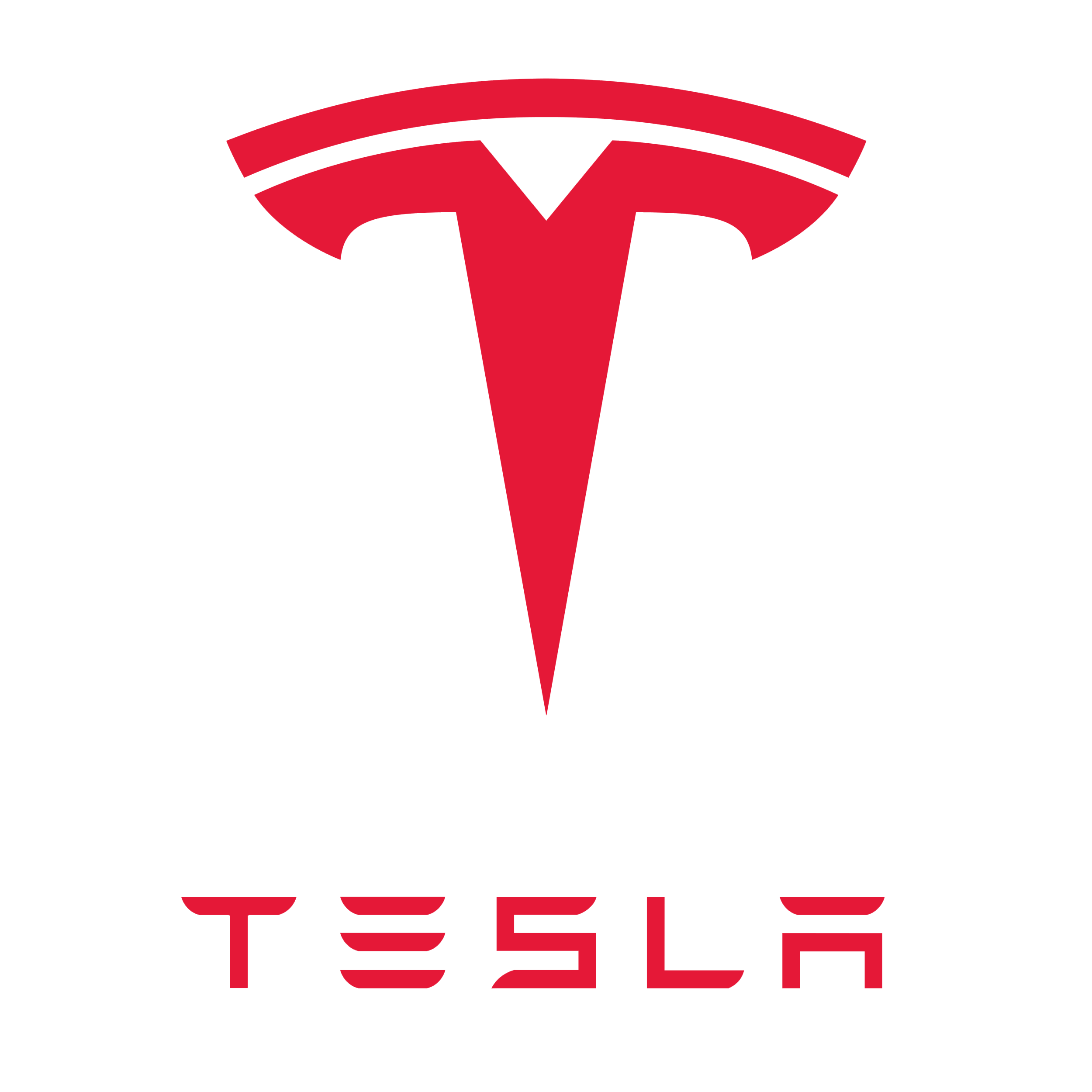 24. Tesla-1