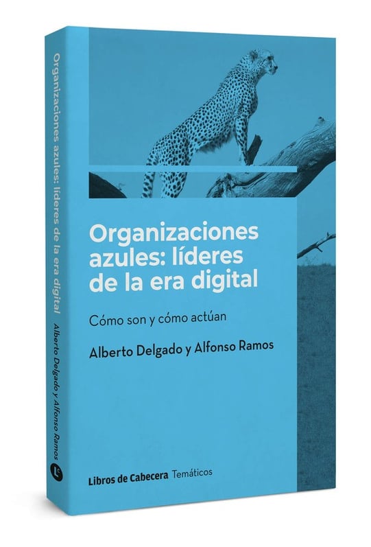 organizaciones azules